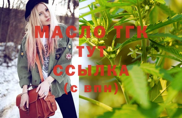 хмурый Арсеньев