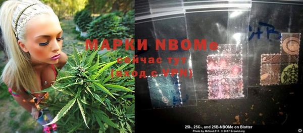 хмурый Арсеньев