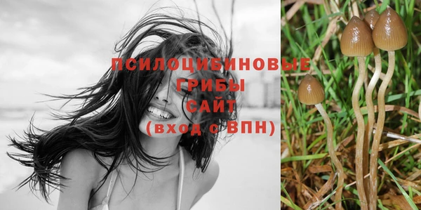 хмурый Арсеньев