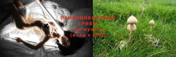прущая мука Армянск