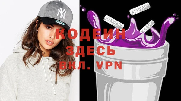 хмурый Арсеньев